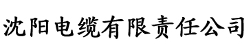 速迅影院电缆厂logo